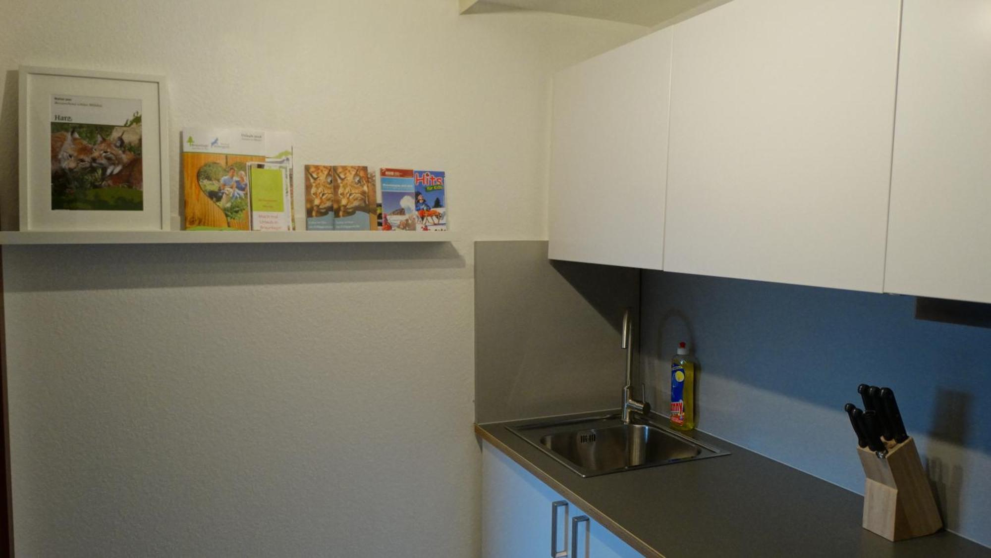 Apartament Bergziege Braunlage Zewnętrze zdjęcie