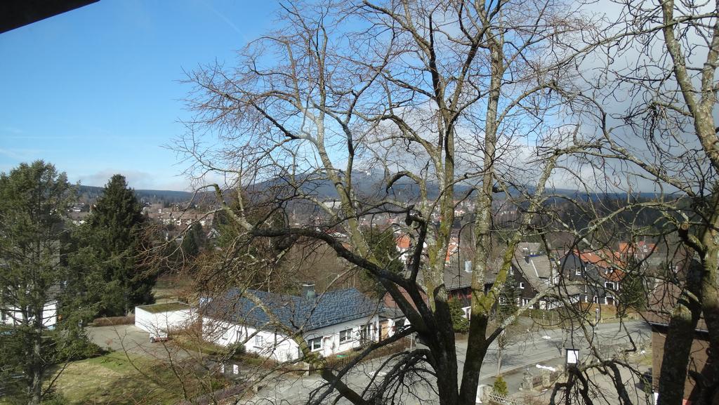 Apartament Bergziege Braunlage Zewnętrze zdjęcie