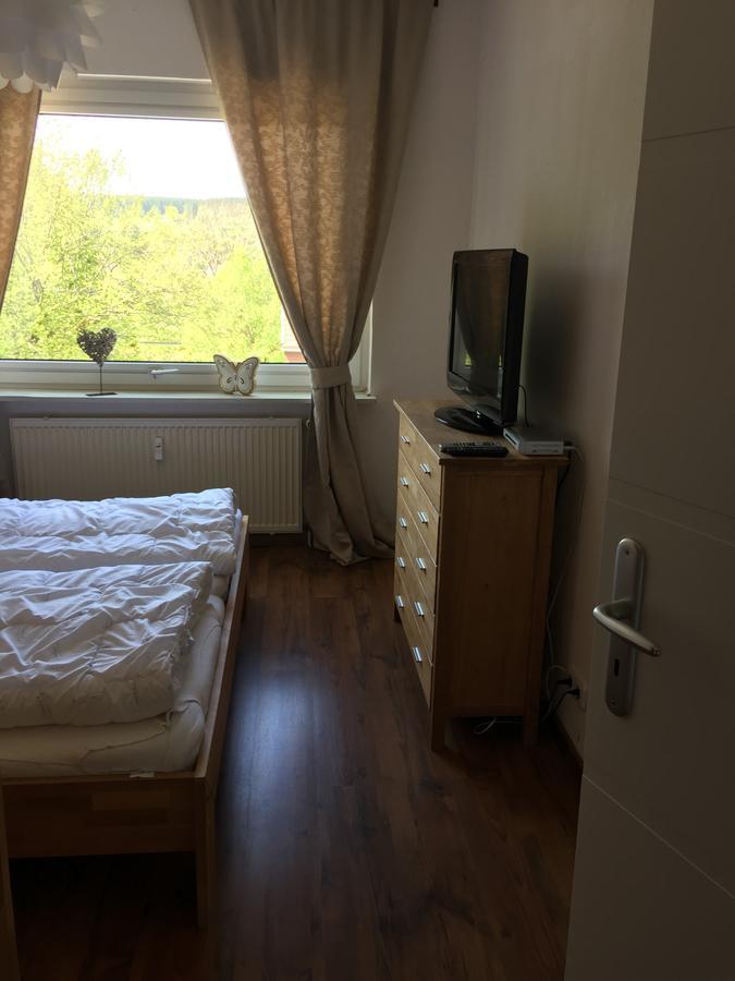 Apartament Bergziege Braunlage Zewnętrze zdjęcie