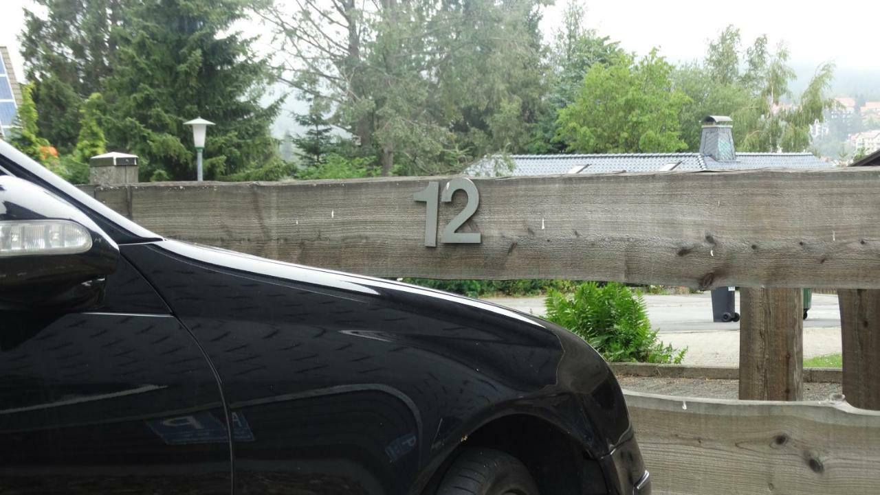 Apartament Bergziege Braunlage Zewnętrze zdjęcie