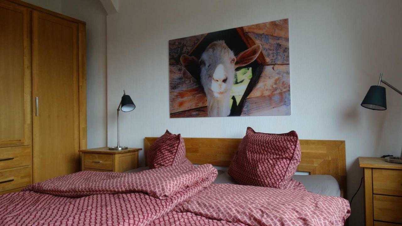 Apartament Bergziege Braunlage Zewnętrze zdjęcie